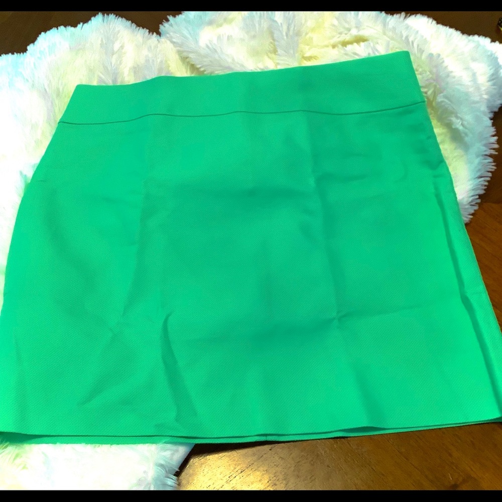 J. Crew skirt 4